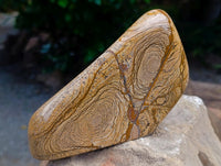 Polished Picture Stone Jasper Standing Free Forms x 2 From Ais-Ais, Namibia