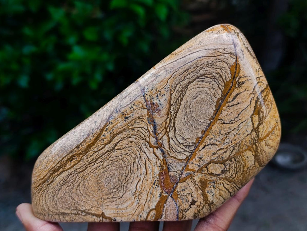 Polished Picture Stone Jasper Standing Free Forms x 2 From Ais-Ais, Namibia