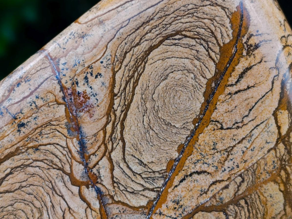 Polished Picture Stone Jasper Standing Free Forms x 2 From Ais-Ais, Namibia