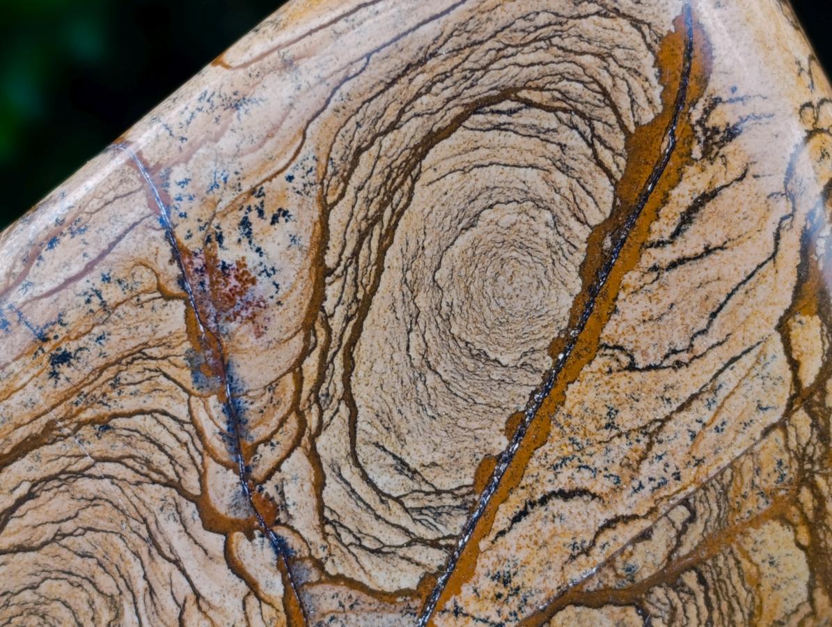 Polished Picture Stone Jasper Standing Free Forms x 2 From Ais-Ais, Namibia