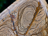 Polished Picture Stone Jasper Standing Free Forms x 2 From Ais-Ais, Namibia