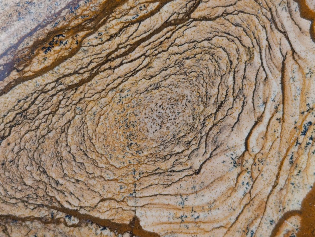 Polished Picture Stone Jasper Standing Free Forms x 2 From Ais-Ais, Namibia