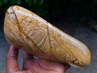 Polished Picture Stone Jasper Standing Free Forms x 2 From Ais-Ais, Namibia