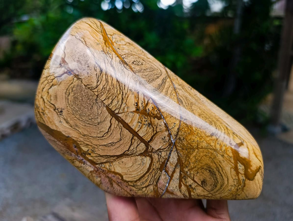 Polished Picture Stone Jasper Standing Free Forms x 2 From Ais-Ais, Namibia