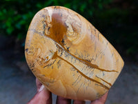 Polished Picture Stone Jasper Standing Free Forms x 2 From Ais-Ais, Namibia