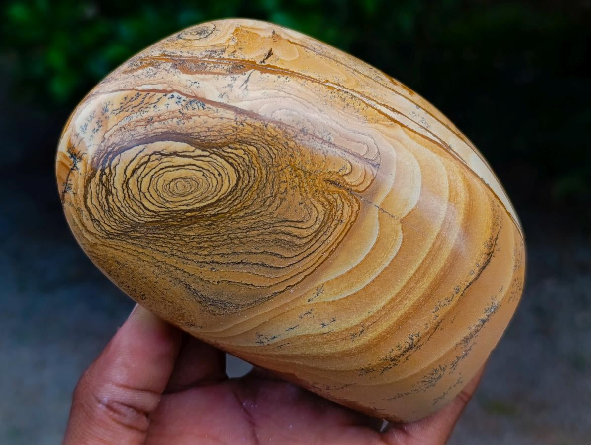 Polished Picture Stone Jasper Standing Free Forms x 2 From Ais-Ais, Namibia