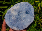 Natural Blue Celestite Specimen x 1 From Sakoany, Madagascar