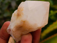 Natural Clear Cascading Quartz Crystal Clusters x 12 From Madagascar