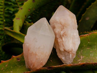 Natural Clear Cascading Quartz Crystal Clusters x 12 From Madagascar