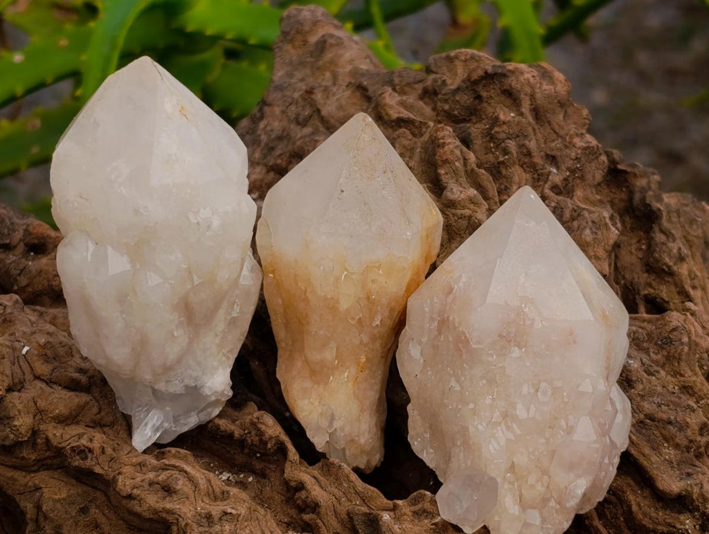 Natural Clear Cascading Quartz Crystal Clusters x 12 From Madagascar