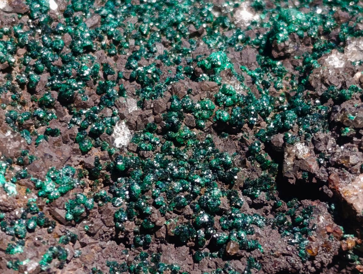 Natural Drusy Quartz Coated Ball Malachite On Dolomite Specimens x 2 From Mindingi Mine, Kambove, Congo