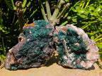 Natural Drusy Quartz Coated Ball Malachite On Dolomite Specimens x 2 From Mindingi Mine, Kambove, Congo