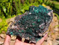Natural Drusy Quartz Coated Ball Malachite On Dolomite Specimens x 2 From Mindingi Mine, Kambove, Congo