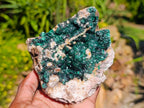 Natural Drusy Quartz Coated Ball Malachite On Dolomite Specimens x 2 From Mindingi Mine, Kambove, Congo