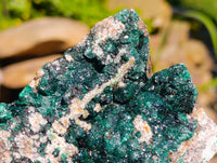 Natural Drusy Quartz Coated Ball Malachite On Dolomite Specimens x 2 From Mindingi Mine, Kambove, Congo