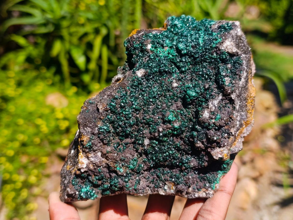 Natural Drusy Quartz Coated Ball Malachite On Dolomite Specimens x 2 From Mindingi Mine, Kambove, Congo