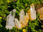 Natural Clear Quartz Clusters x 35 From Madagascar