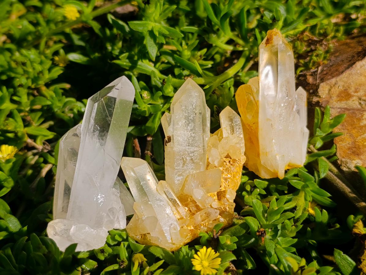 Natural Clear Quartz Clusters x 35 From Madagascar
