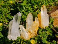 Natural Clear Quartz Clusters x 35 From Madagascar