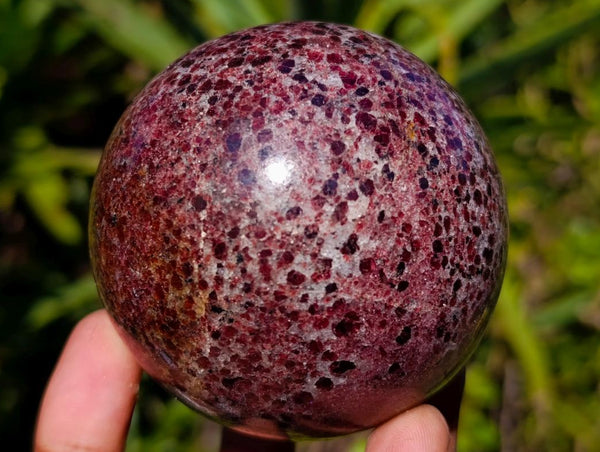 Polished Garnet Spheres x 2 From Mahajanga, Madagascar