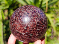 Polished Garnet Spheres x 2 From Mahajanga, Madagascar