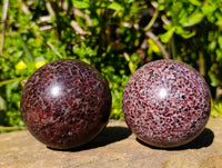Polished Garnet Spheres x 2 From Mahajanga, Madagascar