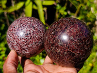 Polished Garnet Spheres x 2 From Mahajanga, Madagascar