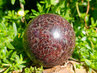 Polished Garnet Spheres x 2 From Mahajanga, Madagascar