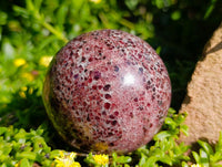 Polished Garnet Spheres x 2 From Mahajanga, Madagascar