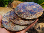 Hand Made Ammonite Conglomerate Coffee Table Coasters x 6 From Mahajanga, Madagascar