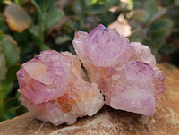 Natural Sunburst Amethyst Spirit Clusters x 12 From Boekenhouthoek, South Africa
