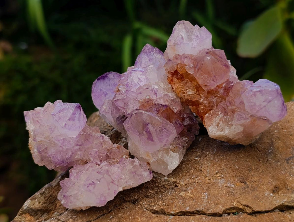 Sunburst Rocks Natural Sunburst Amethyst Spirit Clusters x 12 From Boekenhouthoek, So ...