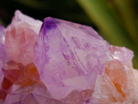 Natural Sunburst Amethyst Spirit Clusters x 12 From Boekenhouthoek, South Africa