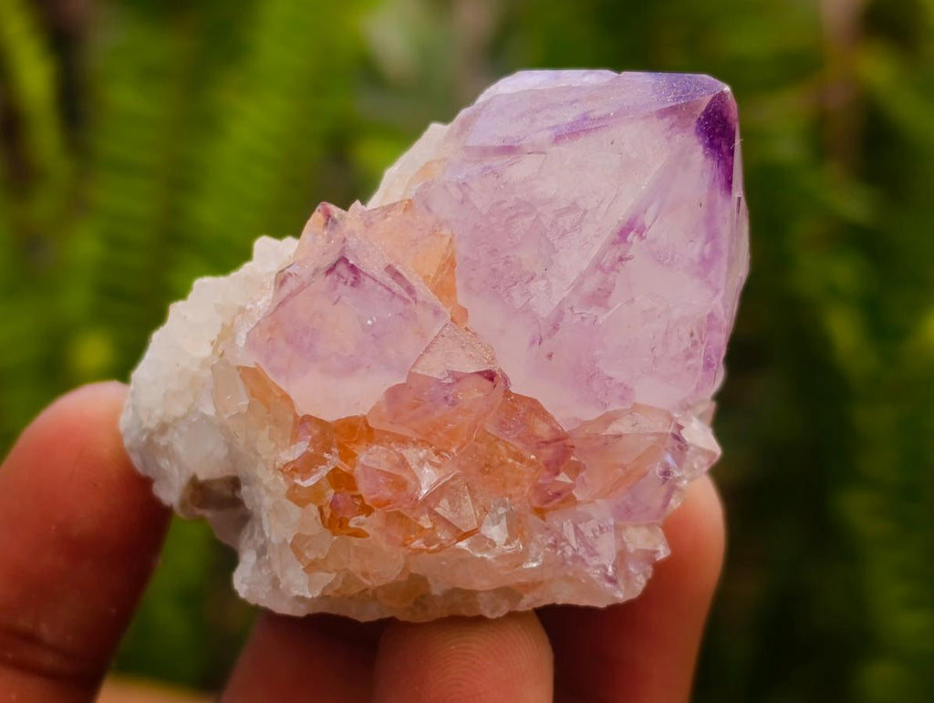 Natural Sunburst Amethyst Spirit Clusters x 12 From Boekenhouthoek, South Africa