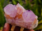 Natural Sunburst Amethyst Spirit Clusters x 12 From Boekenhouthoek, South Africa