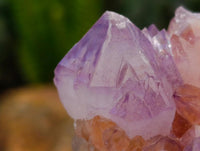 Natural Sunburst Amethyst Spirit Clusters x 12 From Boekenhouthoek, South Africa