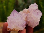 Natural Sunburst Amethyst Spirit Clusters x 12 From Boekenhouthoek, South Africa