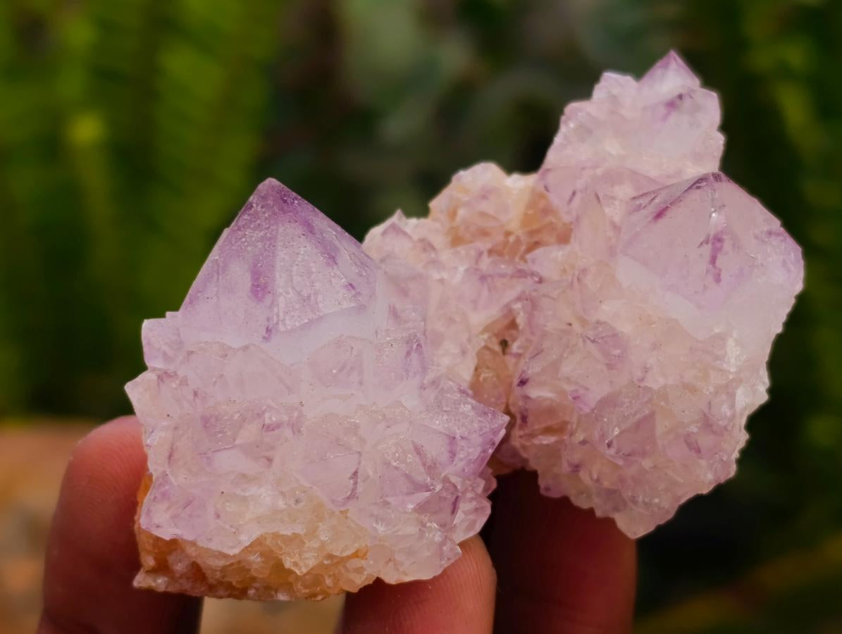 Natural Sunburst Amethyst Spirit Clusters x 12 From Boekenhouthoek, South Africa