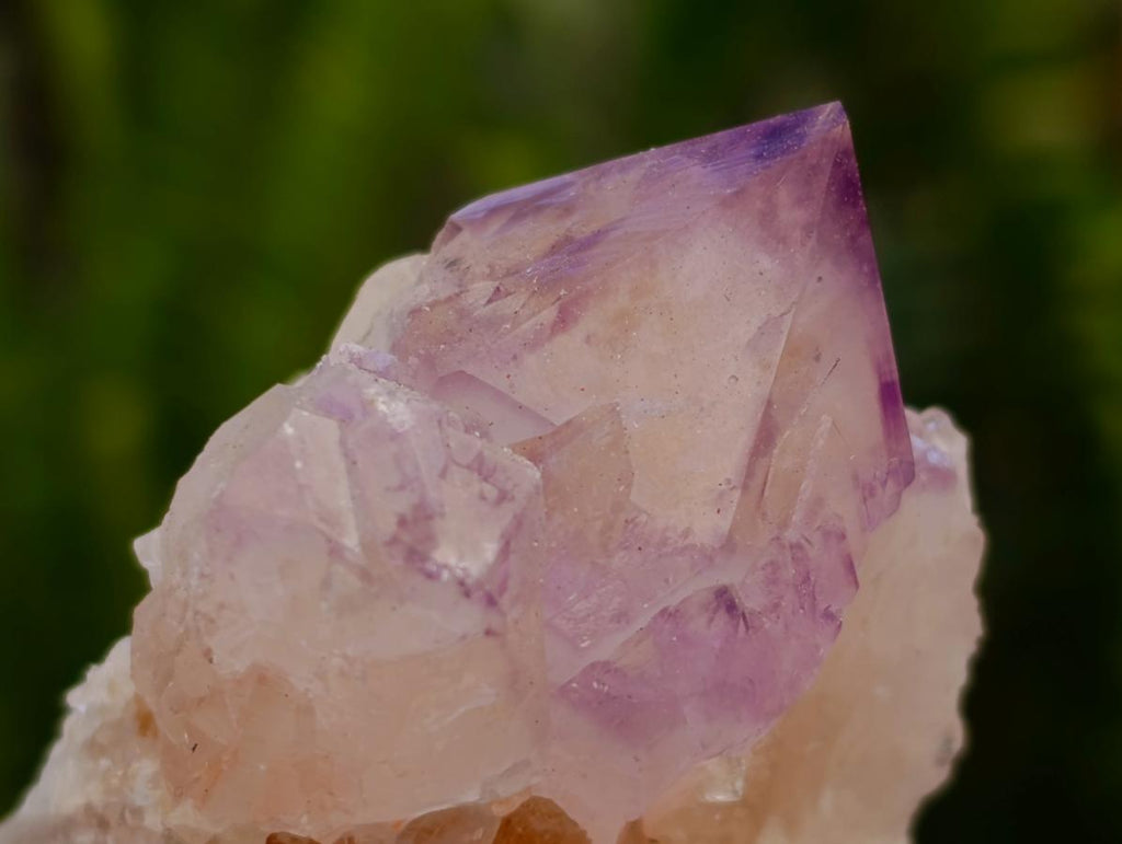 Natural Sunburst Amethyst Spirit Clusters x 12 From Boekenhouthoek, South Africa
