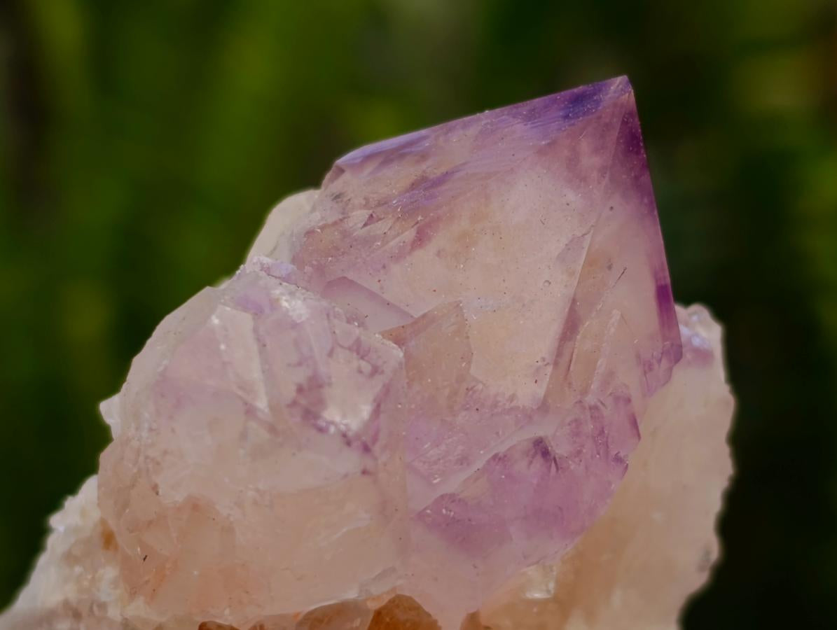 Natural Sunburst Amethyst Spirit Clusters x 12 From Boekenhouthoek, South Africa