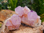 Natural Sunburst Amethyst Spirit Clusters x 12 From Boekenhouthoek, South Africa