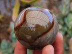 Polished Polychrome Jasper Spheres x 6 From NW Coast, Madagascar