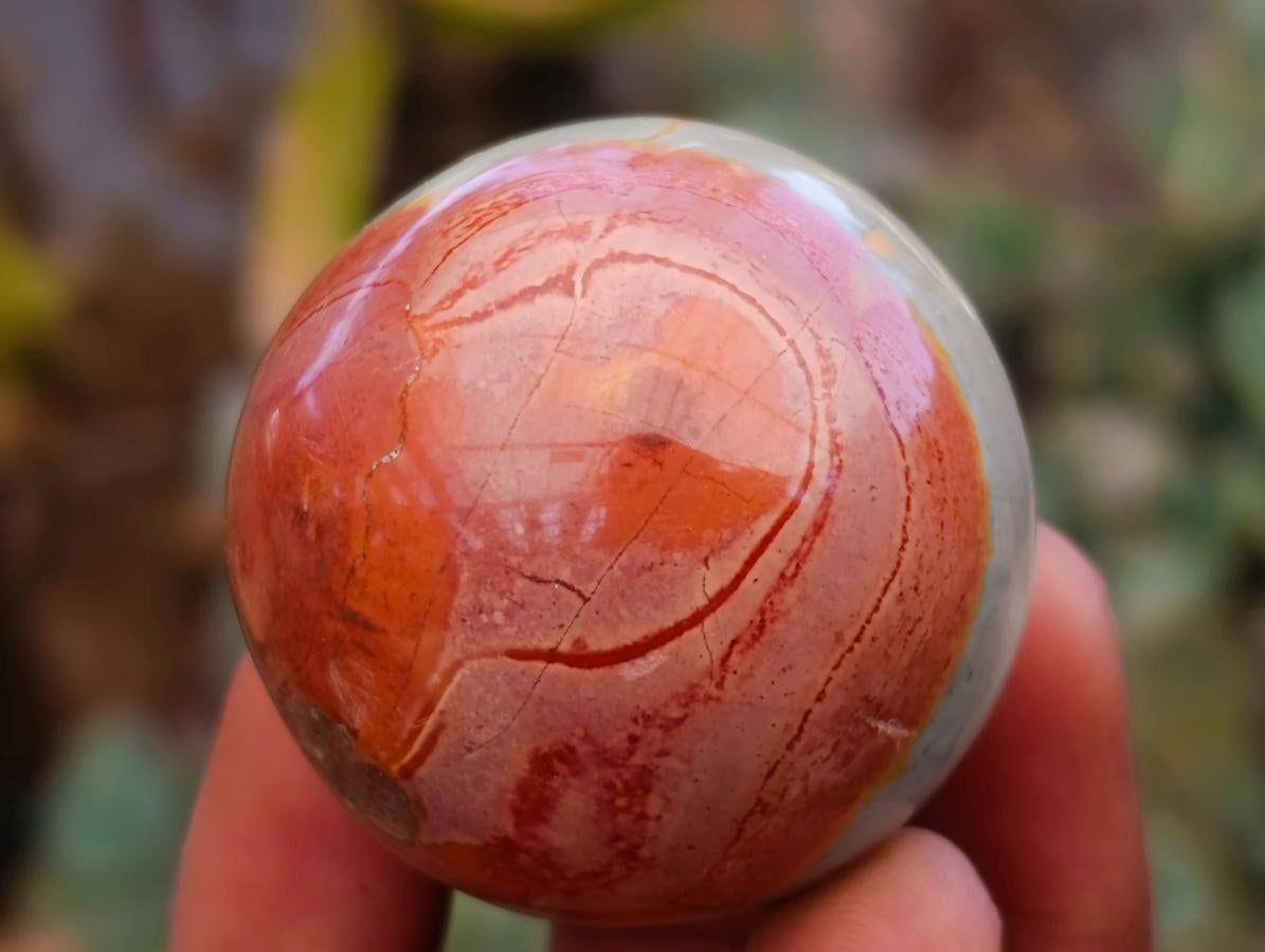 Polished Polychrome Jasper Spheres x 6 From NW Coast, Madagascar