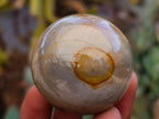 Polished Polychrome Jasper Spheres x 6 From NW Coast, Madagascar