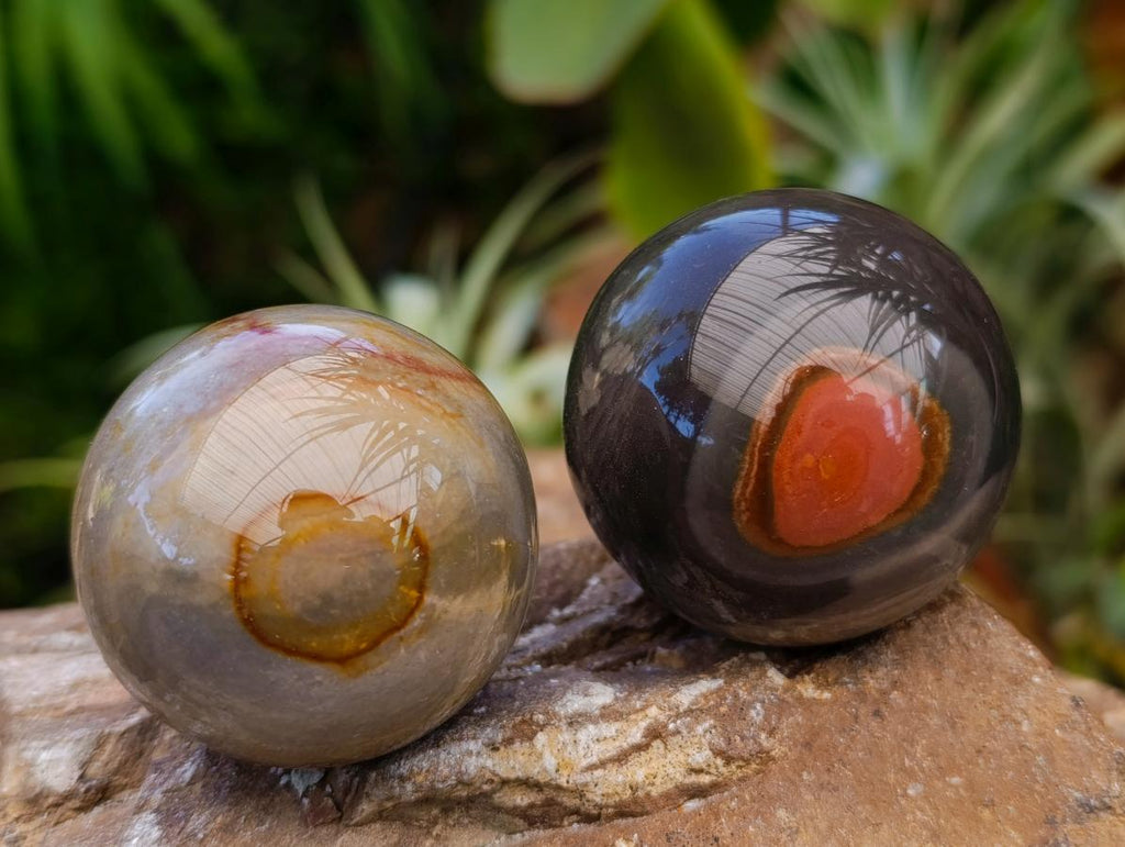 Polished Polychrome Jasper Spheres x 6 From NW Coast, Madagascar