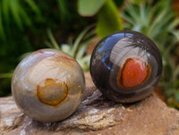 Polished Polychrome Jasper Spheres x 6 From NW Coast, Madagascar