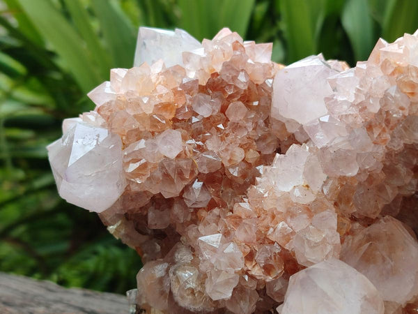 Natural Ametrine Spirit Cluster x 1 From Boekenhouthoek, South Africa