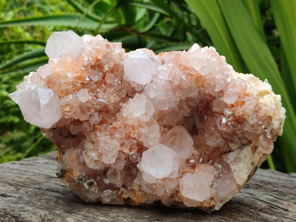 Natural Ametrine Spirit Cluster x 1 From Boekenhouthoek, South Africa