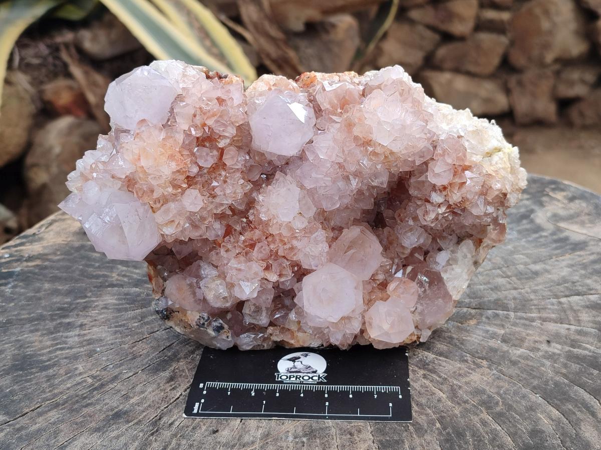 Natural Ametrine Spirit Cluster x 1 From Boekenhouthoek, South Africa