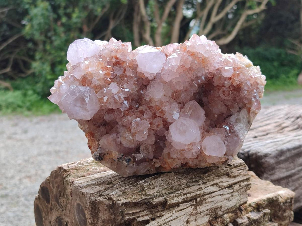 Natural Ametrine Spirit Cluster x 1 From Boekenhouthoek, South Africa